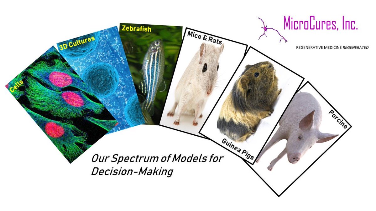 MicroCures, Inc. tweet media