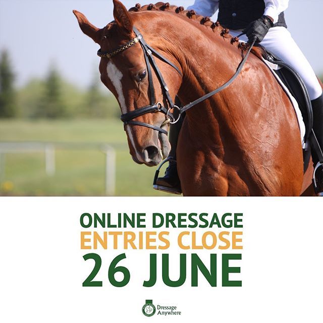 Dressage_comp's tweet photo. Itβs your one week reminder that our #onlinedressage entries close in one week at 23.59 BST on 26 June!
.
.
.
#dressage #dressageanywhere #competeonline #onlinedressage #prizes #rosettes #dressagetest #dressagegoals #horseshowonline #equine #horses #eque⦠https://t.co/Ay2FFJmhv5 https://t.co/mSIB9pu42B