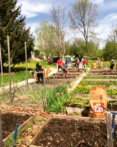 Excited volunteers recently revitalized the Acton Community Garden. The community now have a source for fresh &amp; healthy food. Huge thanks to the volunteers who pulled out their green thumbs for a great purpose! #GivingBack #ThisIsForesters