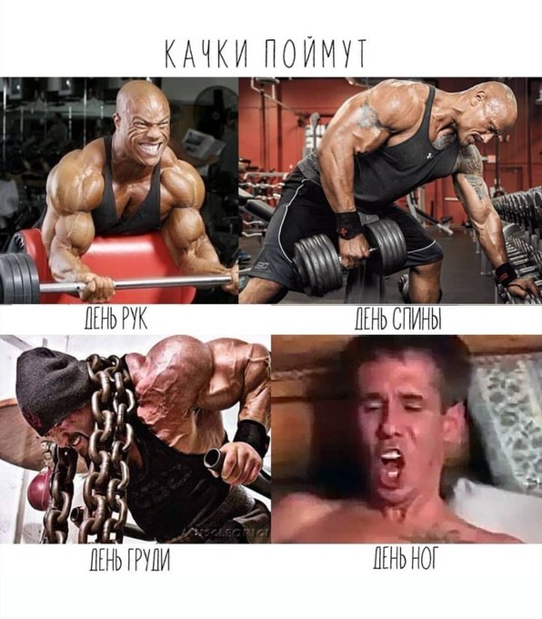 D9bjuXAXYAAB7I0?format=jpg&name=small