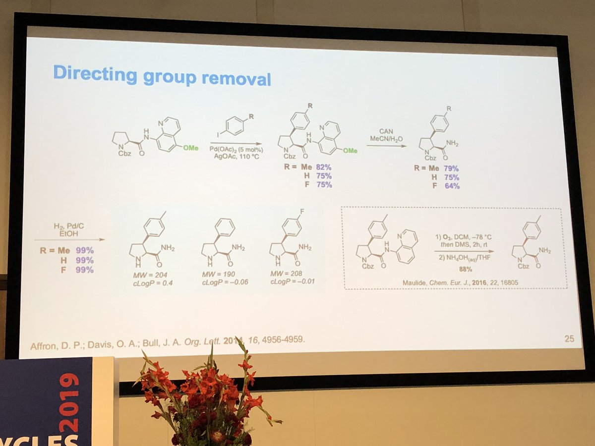 MaulideLab's tweet photo. Really nice mention by @jamesabull of our deprotection method for the 8-AQ directing group published in @ChemEurJ #Bioheterocycles2019 #cheers #deprotection https://t.co/tPuRkcVzc7