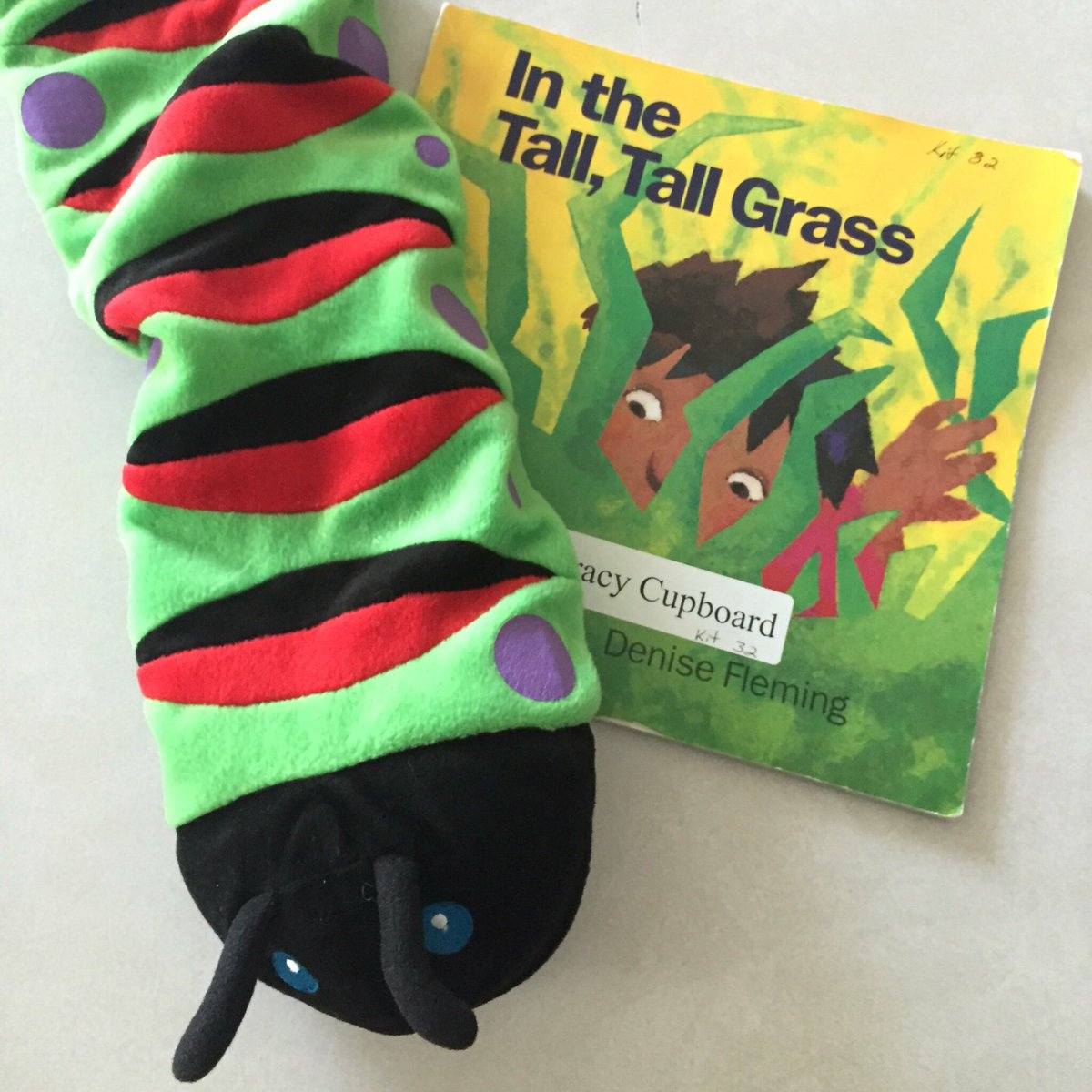 CBRoom107's tweet photo. What can you find In the Tall, Tall Grass?  #literacyblock #iseebugs @CliffordBoweyPS https://t.co/03HgdR9Wp7