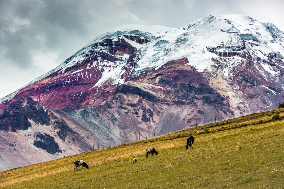 With a mix of snow and greenery, Chimborazo offers an extraordinary view! 
galapagos-pro.com/en/ecuador-mou…

#Chimborazo #Southamerica #Mountainclimbing #Mountain #Volcanoe #Volcano #Southamericatravel #Travel #Travel #Wanderlust #Adventur