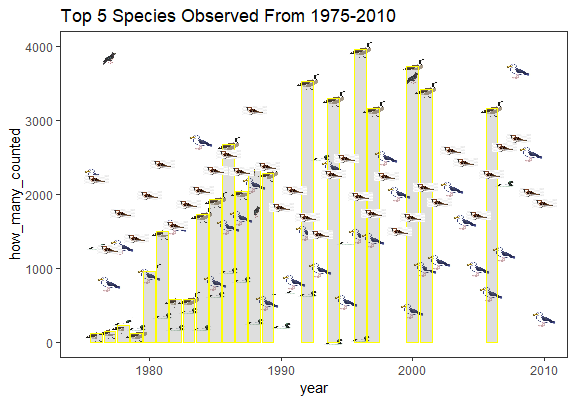 JacodTamara's tweet photo. Trying to work with different visualization to look at Top 5 Birds for #TidyTuesday for the @PodsProgram ! https://t.co/zOVMOOUUs7