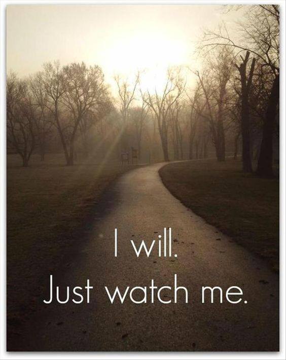 Succentrix (@succentrix) on Twitter photo 