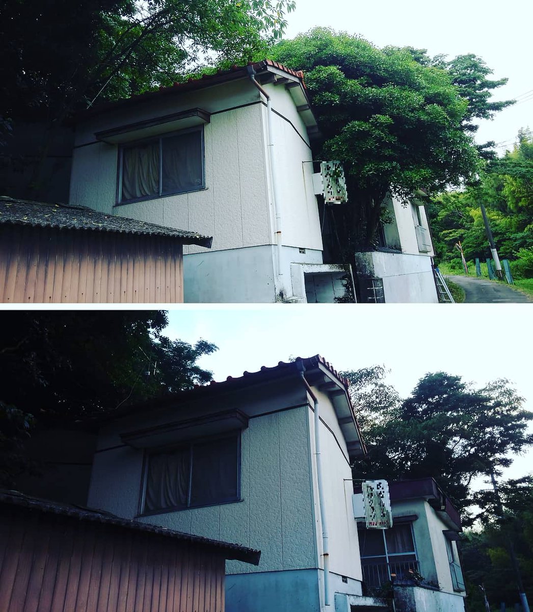 庭木の伐採 庭木の伐採