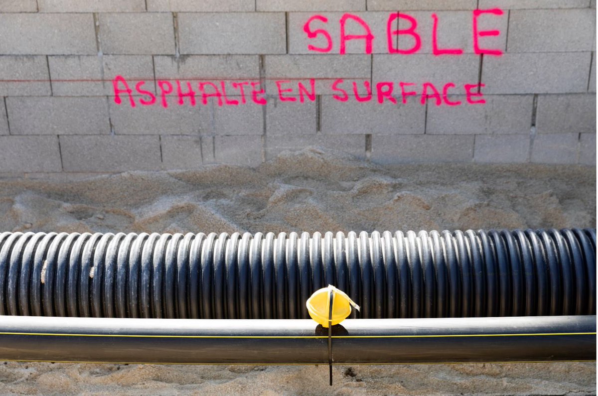 Brigitte Leforestier tweet media