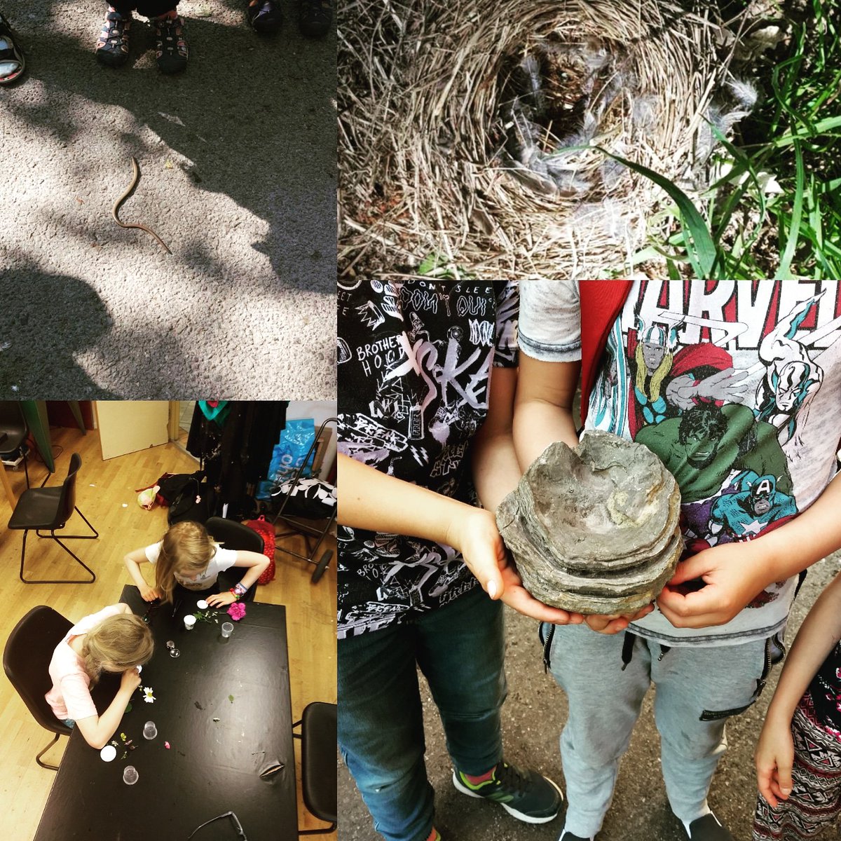 Att upptäcka är en del av #biologin! #Biologikollo <a href="/skarpnack/">Skarpnäcks sdf</a>