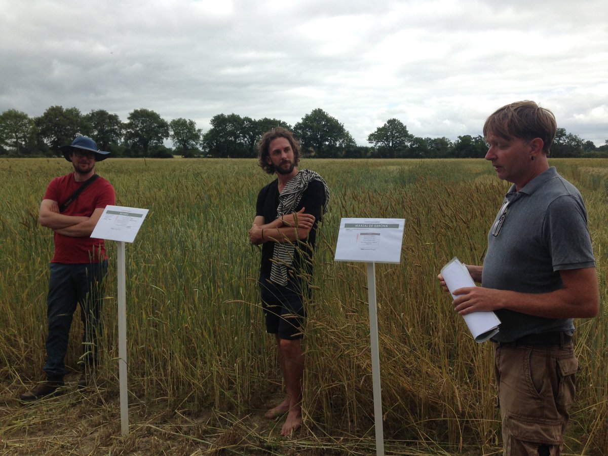 Suisse, Allemagne et France réunies en Vendée cet après-midi. Merci à nos sélectionneurs de variétés paysannes, biologiques et Biodynamiques de nous avoir témoigné de leur travail.
Résultats de nos essais à venir dans notre prochaine synthèse d'essais !