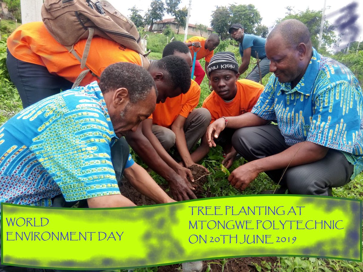 Likoni Kaya LIKAGRO (@likonig) on Twitter photo 