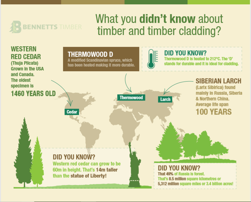 Bennetts Timber tweet media