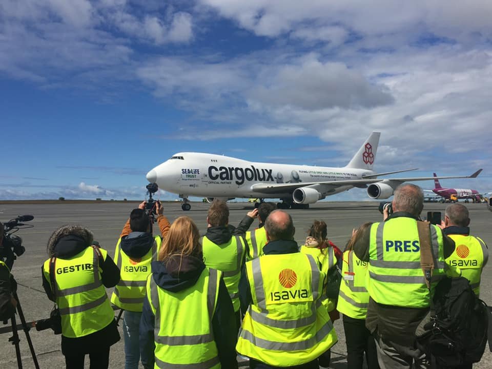 Cargolux Airlines tweet media