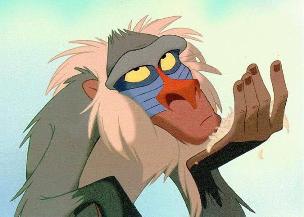 Rafiki Le sage fou tweet media