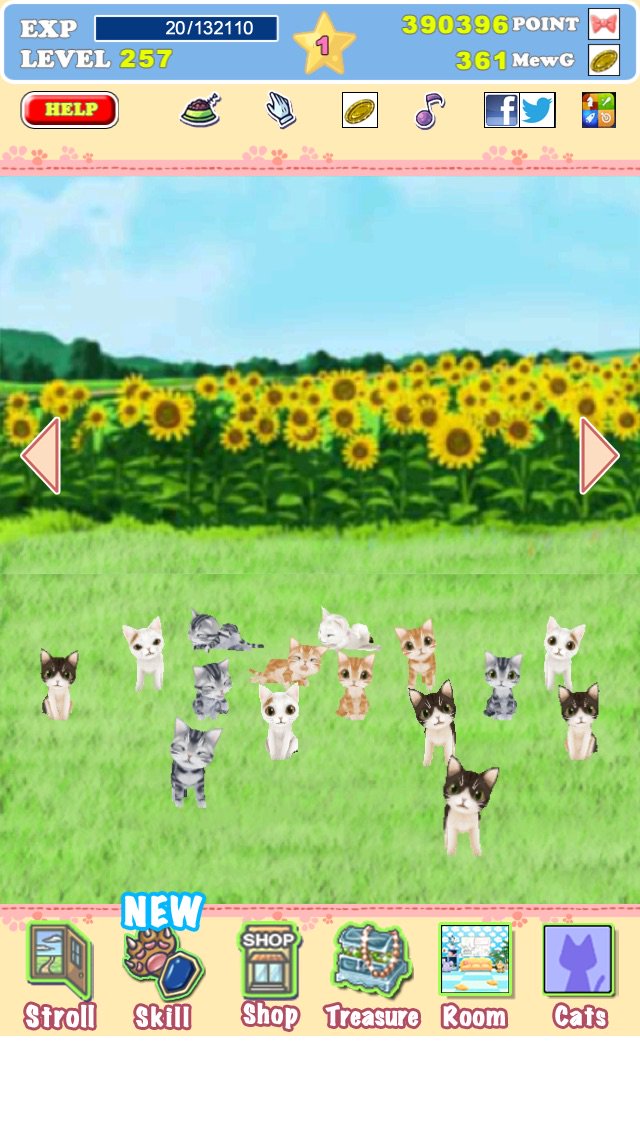 rinrinoden's tweet photo. Look after cats and take them for a walk #GoGoCats FREE DOWNLOAD!! https://t.co/EwrU9QyZ6V https://t.co/AANOQ7pCgO
