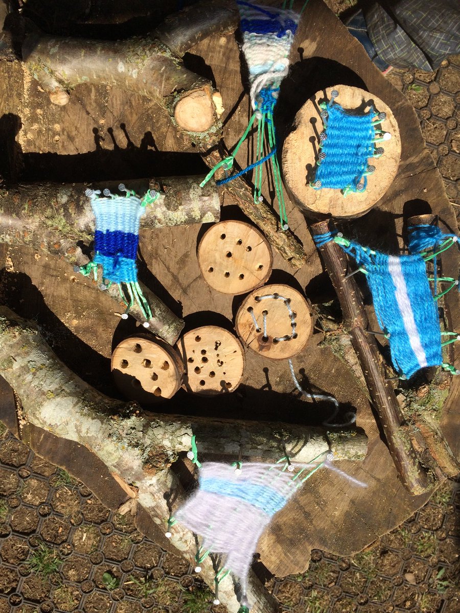 fyvieschool's tweet photo. Eco club have been learning how to use tools safely this week they used hand drills.
#ecoclub #usingtoolssafely #learningoutdoors https://t.co/cEdqYMLDeF