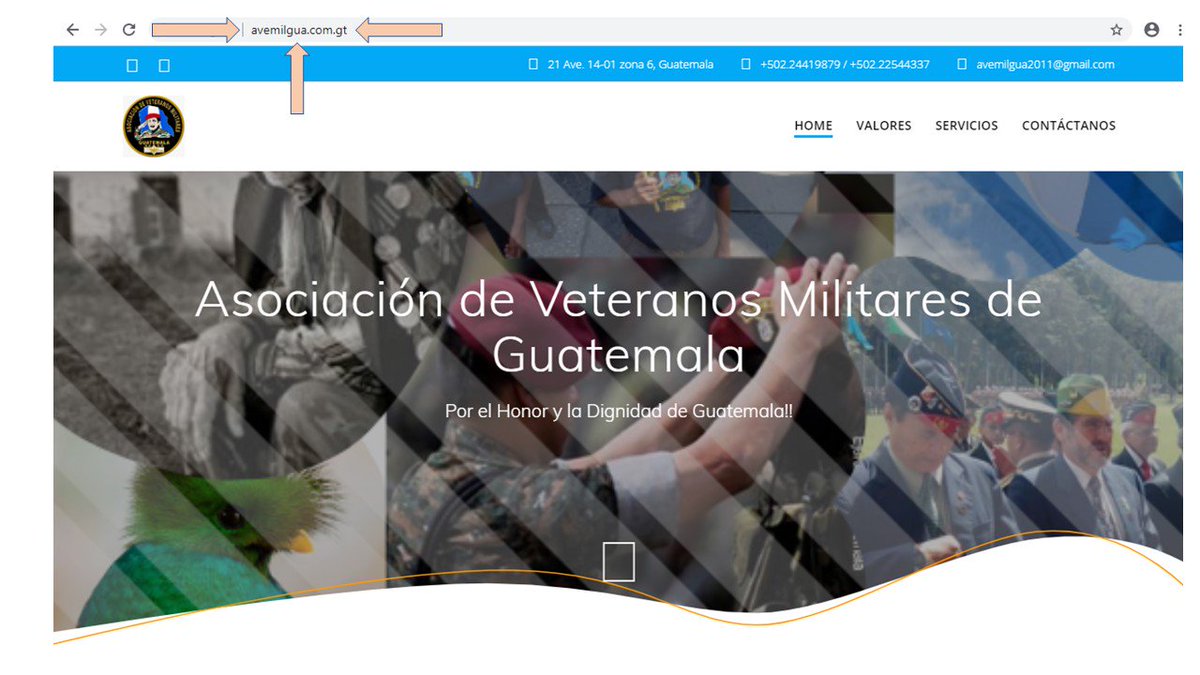 búscanos en nuestra pagina web como: avemilgua.com.gt