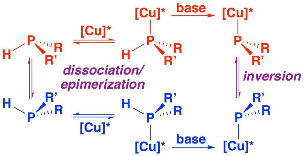 glueckd's tweet photo. Come and get me, copper! In our new paper @InorgChem, chiral Cu(I)-diphos* &amp; P-stereogenic secondary phosphines —> labile diastereomeric complexes.  Add base to get copper-phosphidos.  https://t.co/ar9CEaiiM2 Thanks to @sgibbons331 @dartmouthchem #NSFFunded https://t.co/j8E3J65LET