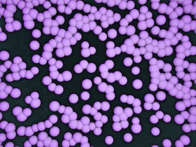 Neem Biotech tweet media