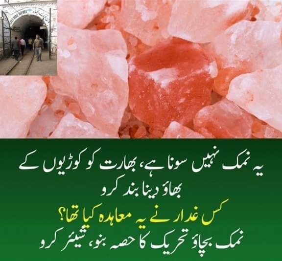 TaxwithShams's tweet photo. @UdarOfficial #pinkSal https://t.co/bbgBQKAilZ
