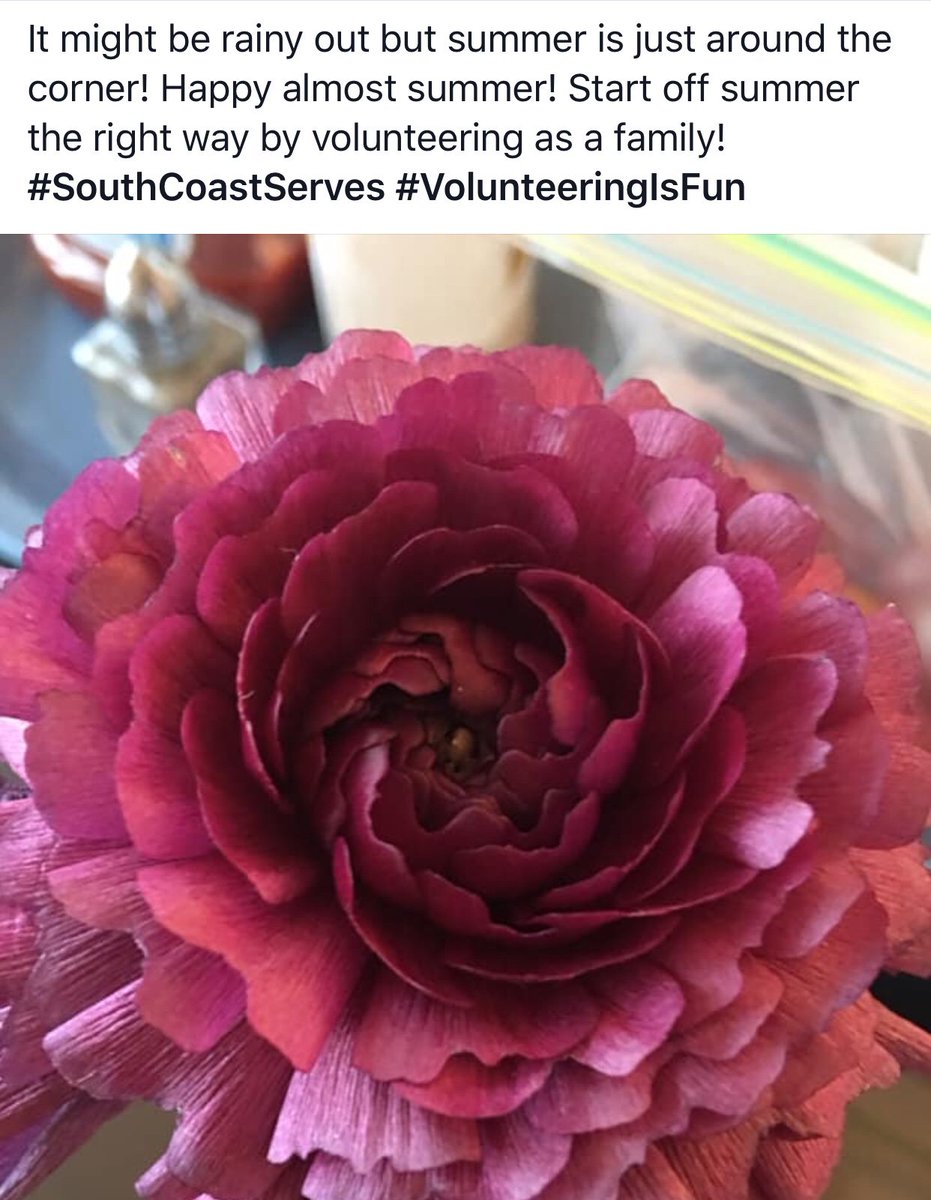 SouthCoast Serves (@scserves) on Twitter photo 