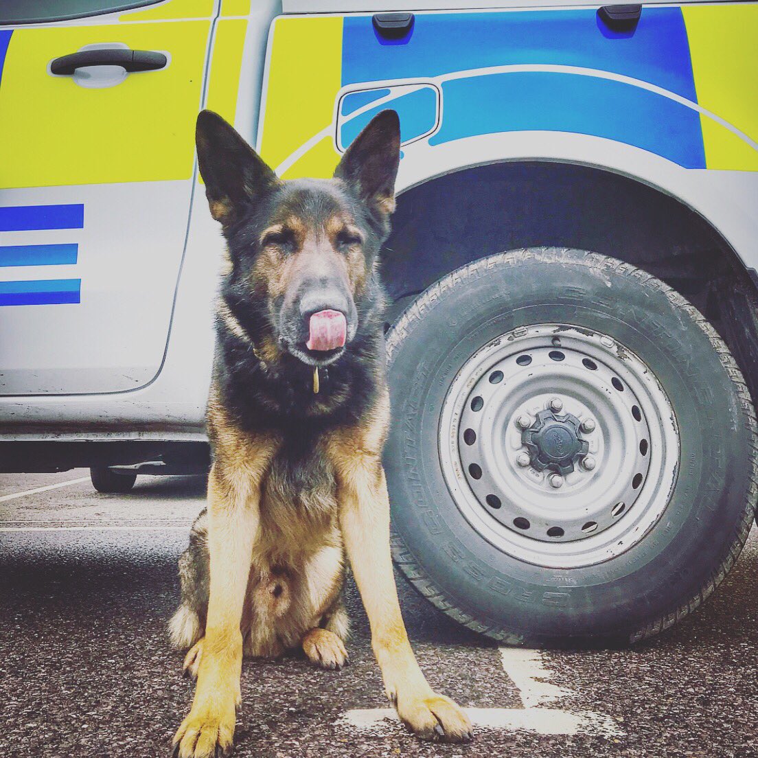 Kent Roads Policing (RPU) tweet media