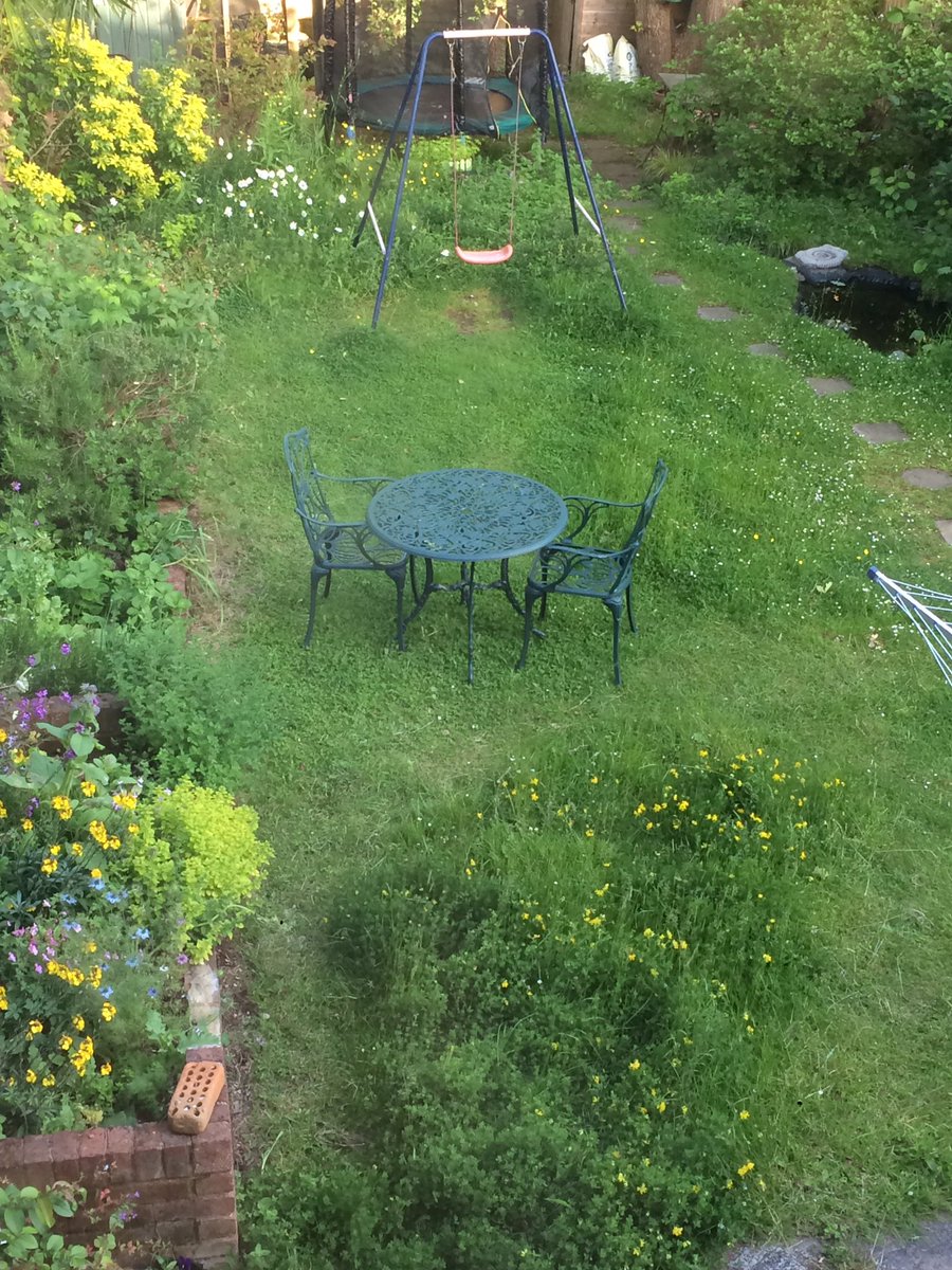 CursonSimon's tweet photo. How many of you have left areas of your lawns uncut over rhe summer. We have. Its got Birds foot Trefoil and Meadow Buttercup in it. Not much, but better than short grass. What’s your lawn like? #pollinators #saynotomow #wildlifegardening @LGSpace https://t.co/ivzUf3dyoW