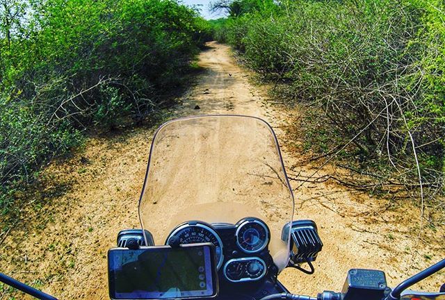 leavetheroad's tweet photo. The kind of trails you can expect when you use the @greatindiantrail maps...
.
.
.
.
.
.
#naturelovers #trailbashing #trails #trailhunter #offroadtrails #offroading #senditsideways #RoyalEnfield #RidePure #motorcycletrips #motorcycleride #motorcyclediari… https://t.co/TSBhUeJ2rc https://t.co/I4ns8SgaS4