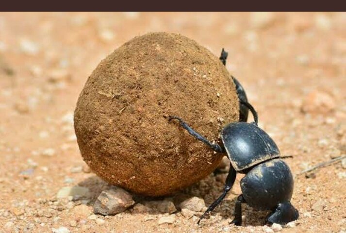 Babaketyler's tweet photo. #JKLive mulmulwas https://t.co/0b056Obr54