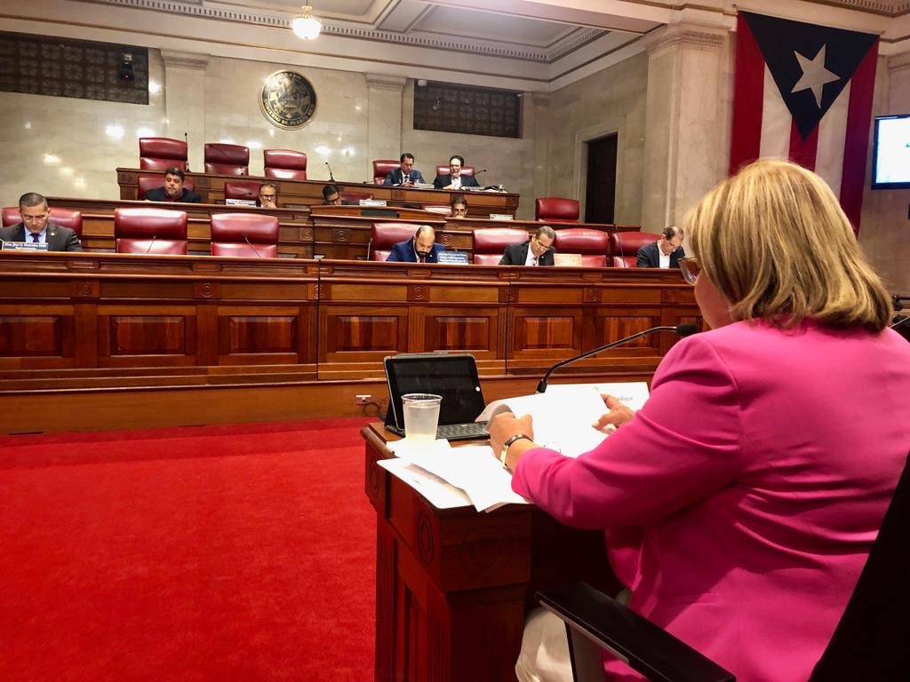 NormaEBurgos's tweet photo. Presentando mi ponencia en la Vista Público referente al nuevo Código Electoral 2019. @CamaraPNP @SenadoPR https://t.co/nWXg8KNSZk