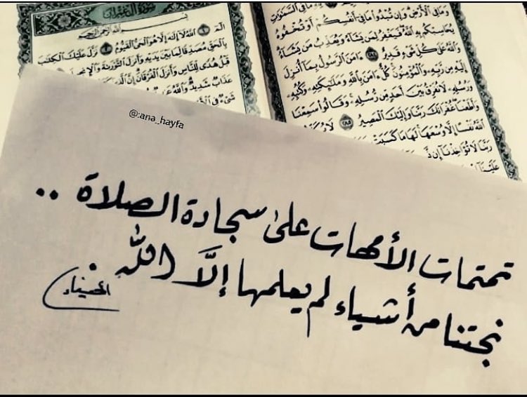 ������ ���� ������ �� ���� ������