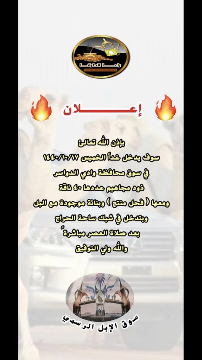 #حراج_الابل (@7raj_alabel) on Twitter photo 