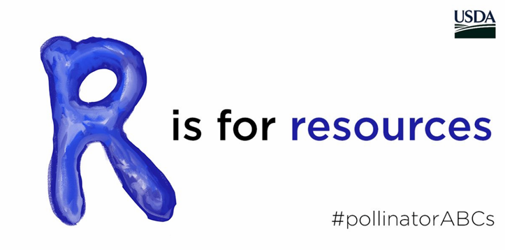 USDA_NRCS's tweet photo. Provide the right resources – flowers, water, and habitat – and you’ll help #pollinators thrive. https://t.co/imG4sX39lY #pollinatorABCs #PollinatorWeek https://t.co/4fY66kbWBJ