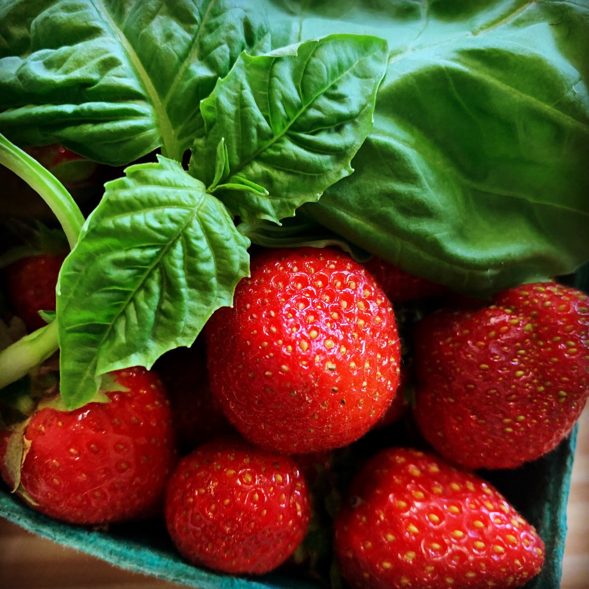 Seedsheet tweet media