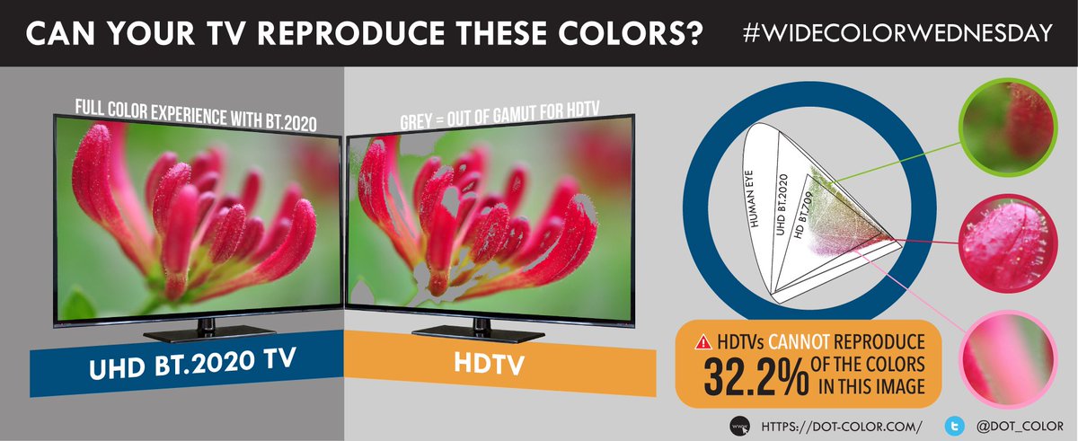 Happy June everyone! This #WideColorWednesday, we take a look at the June birth flower, honeysuckles: