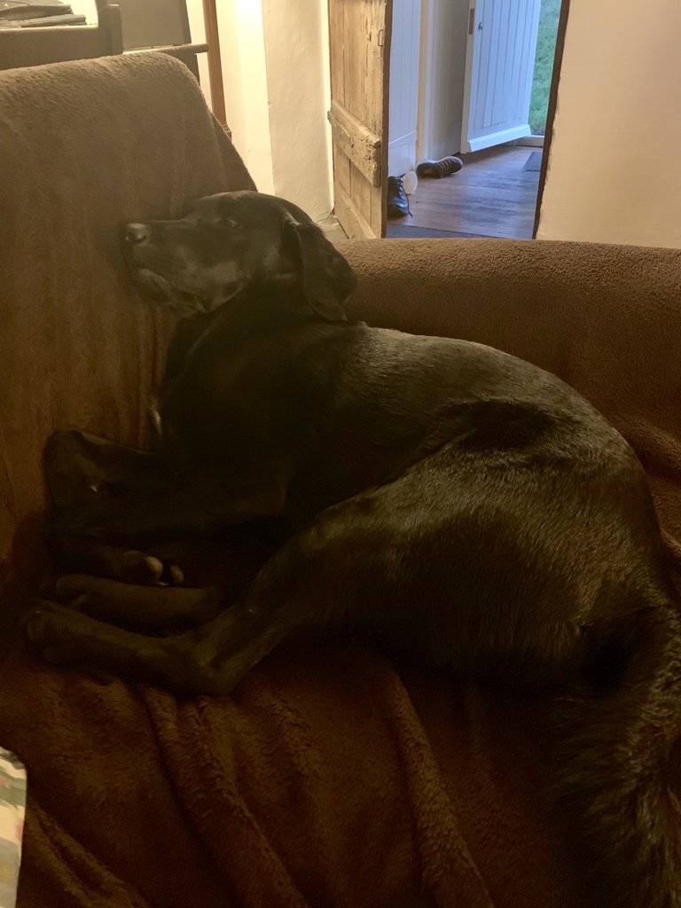 Mabel_dor's tweet photo. #nappage https://t.co/rxeMqCQR4f
