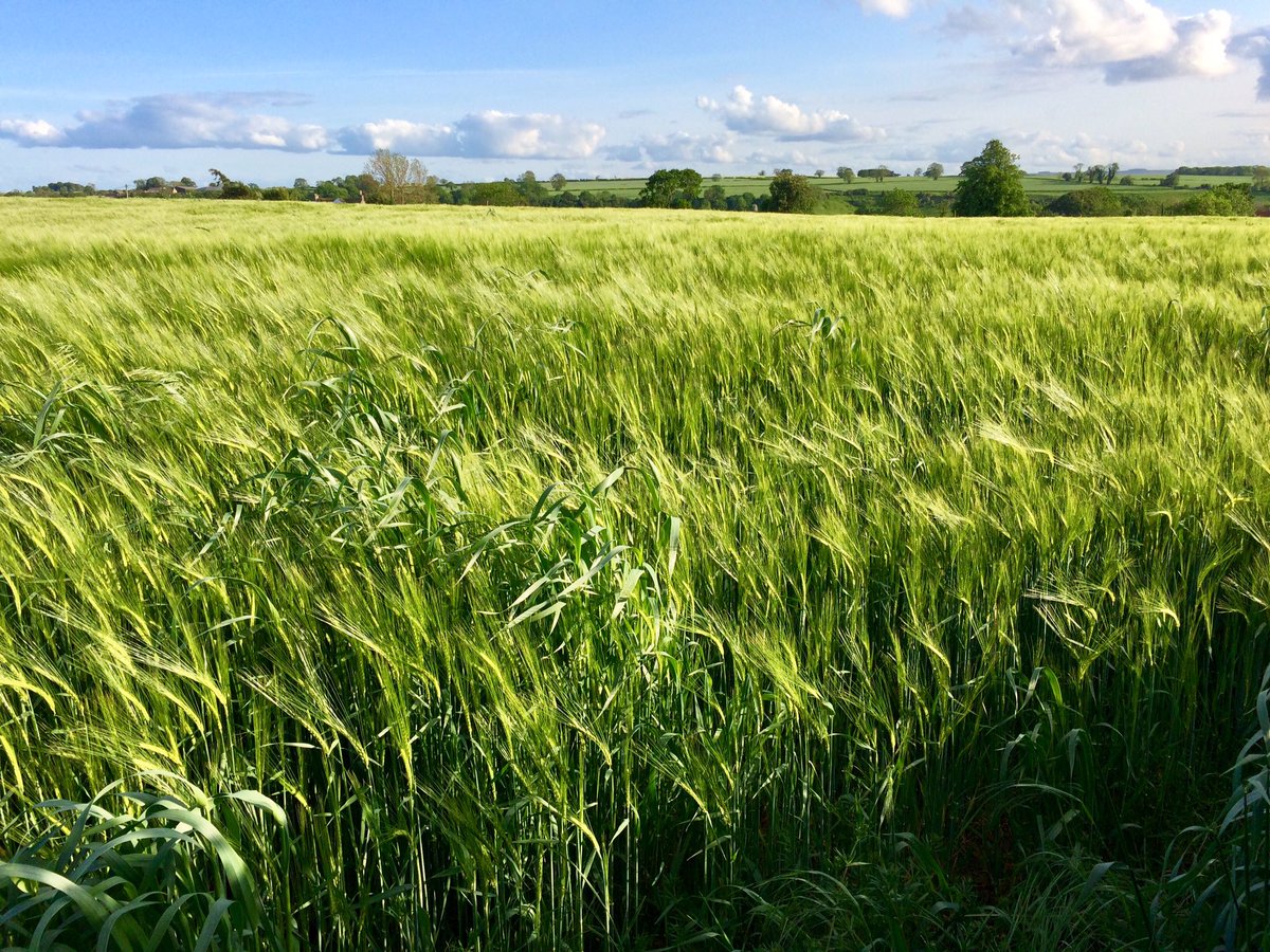 0utdoorGirl's tweet image. ‘Nature is not mute; it is man who is deaf.’ Terence McKenna #30dayswild #stoptalking #listentonature #peaceful