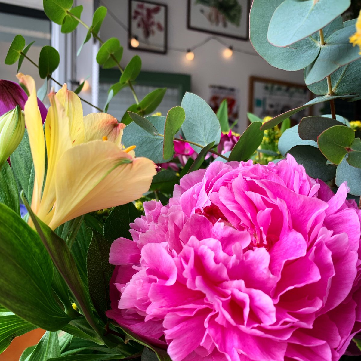rosecloveruk's tweet photo. A little splash of colour in the middle of The Southsea Deli table. 

This weeks Deli flowers have some stunning peonies so we all get our fix before their short season ends! 

#southsea #portsmouth #shoplocal #southseaflorist #elmgrovejungle #freshblooms #peonies #peony https://t.co/8wEwaxJ0Km