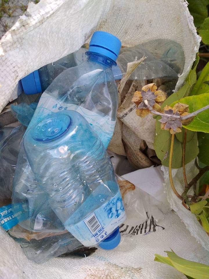 Afternoon task today : collected 208 bottles #cleanaddu #keepclean #adducity #plasticfreeisland #noplastic #veshisaafu #environment #plogging #plogger #adducity #cleanaddu #saveearth #savegreen #saveislands #savemarinelife #savenature