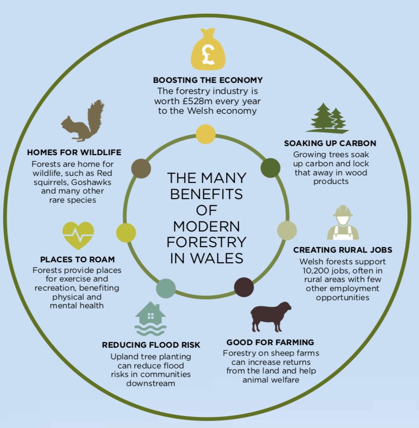 ConforWales tweet media