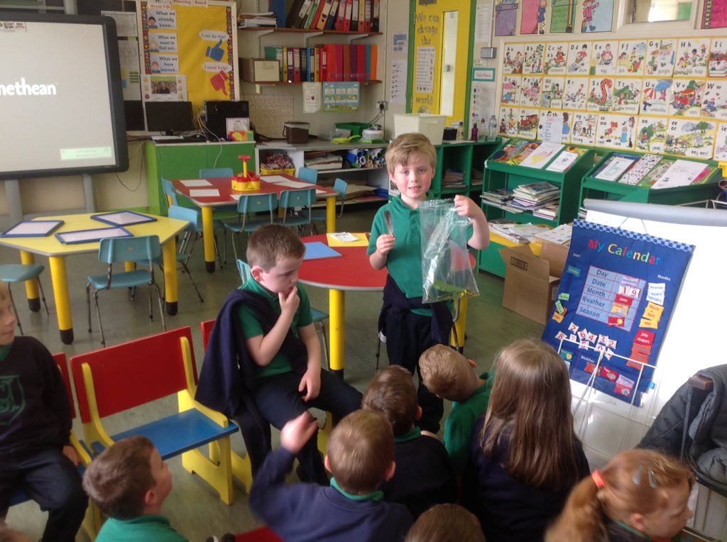 StMalsColeraine's tweet image. Thank you to this Primary 2 superstar who brought in some things he found on his #30DaysWild walk in the forest. 🌟🍃🌲🌸#sharingwiththeclass #naturewalk #feathers #leaves #wildflowers @30DaysWild @WildlifeTrusts