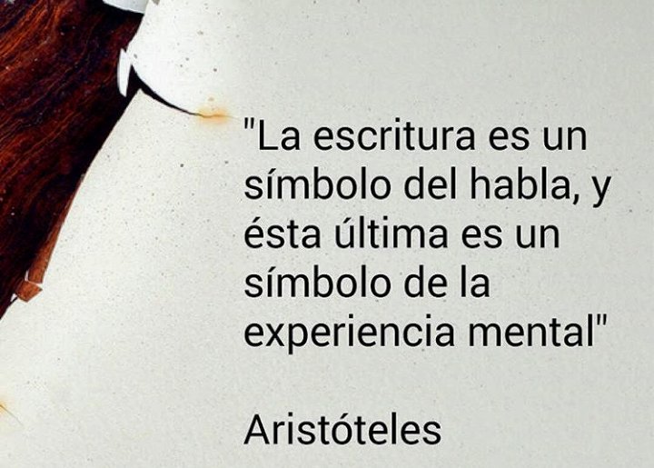 GrafologaAlinGG's tweet photo. Escribimos con el inconsciente del cerebro, por ello no se puede falsificador.
#Grafiscopia
#Grafologia
#grafología https://t.co/UwOPqGrnII