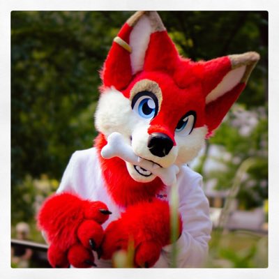 Red Rainbowtail tweet media