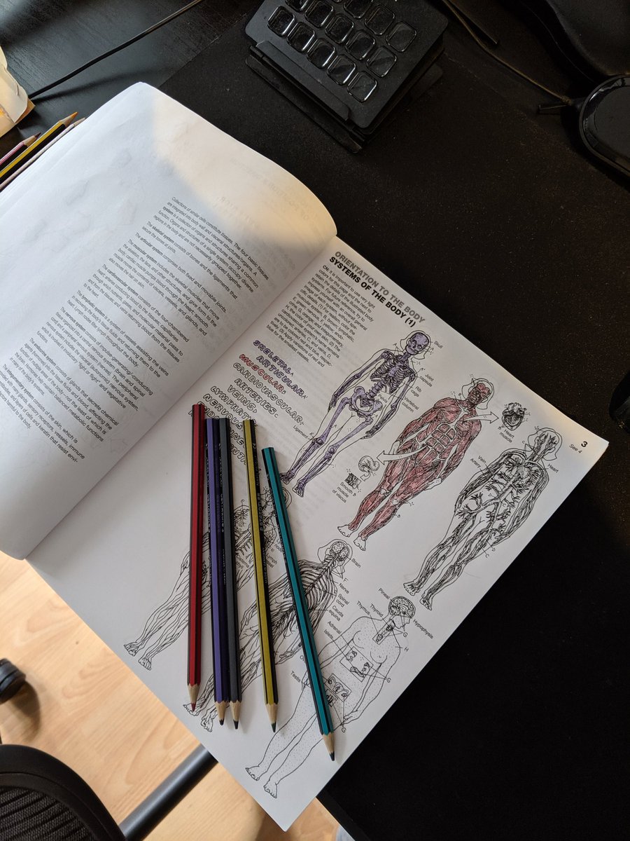 DonnyCartel's tweet photo. Studying 🤓 nerd mode #SmartGamer https://t.co/k5AJdYyERF