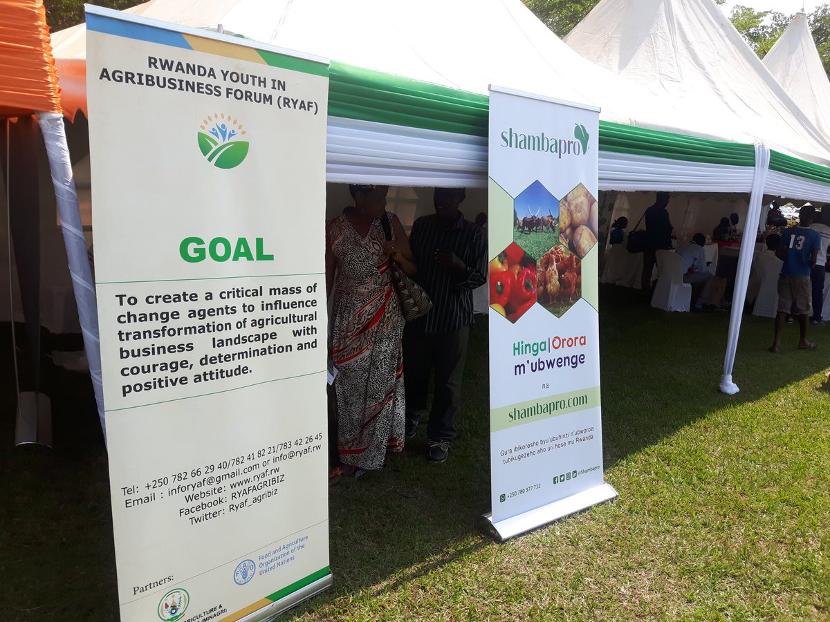 Shambapro's tweet photo. Come visit our stand at the #Agrishow2019 at the @ryaf_agribiz  stand. We will show you how we are helping Rwandan farmers access quality farm inputs easily and promptly @gloria_mutuzo @Startups250 @RwandaAgri https://t.co/rK6mj7OOtC