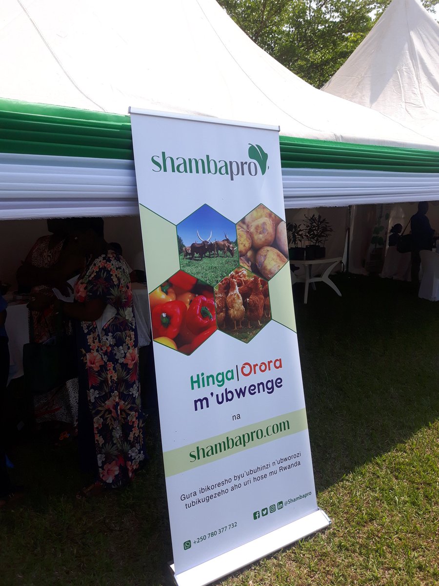 Shambapro's tweet photo. Come visit our stand at the #Agrishow2019 at the @ryaf_agribiz  stand. We will show you how we are helping Rwandan farmers access quality farm inputs easily and promptly @gloria_mutuzo @Startups250 @RwandaAgri https://t.co/rK6mj7OOtC