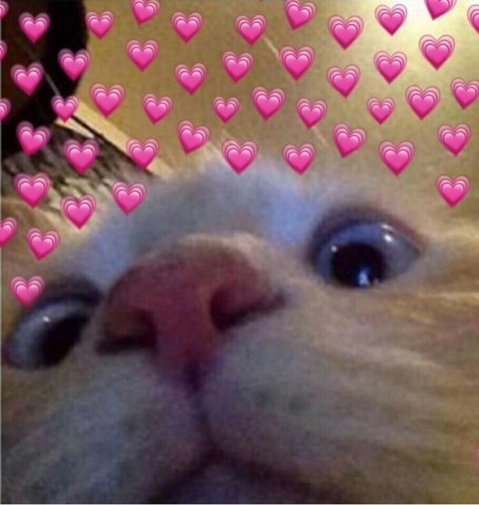 𓈒 ˭ ◡̈ ˓ 𝗮𝗼𝗺 𓐄 𝗸𝗼𝗱 ˒ ॱ 💘𐬹 อ้อมกอดพิ้งๆ tweet media