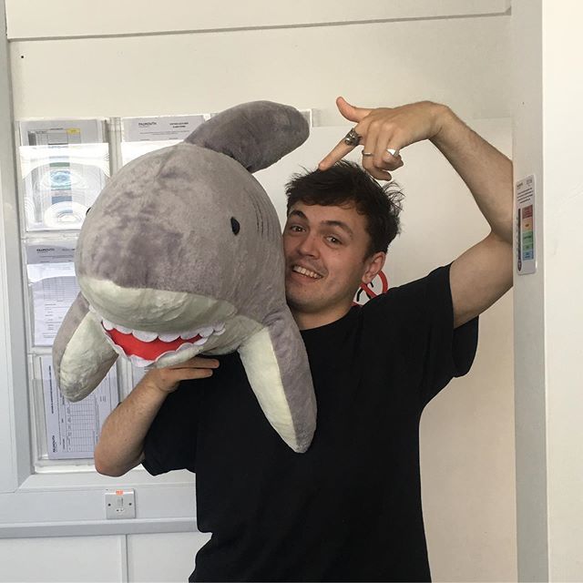Falmouthgames's tweet photo. It's nice to see alumni popping into the office, and pets too, we loved your Shark Bait game! #shark #gamestudio #falumni https://t.co/hapku91BGm