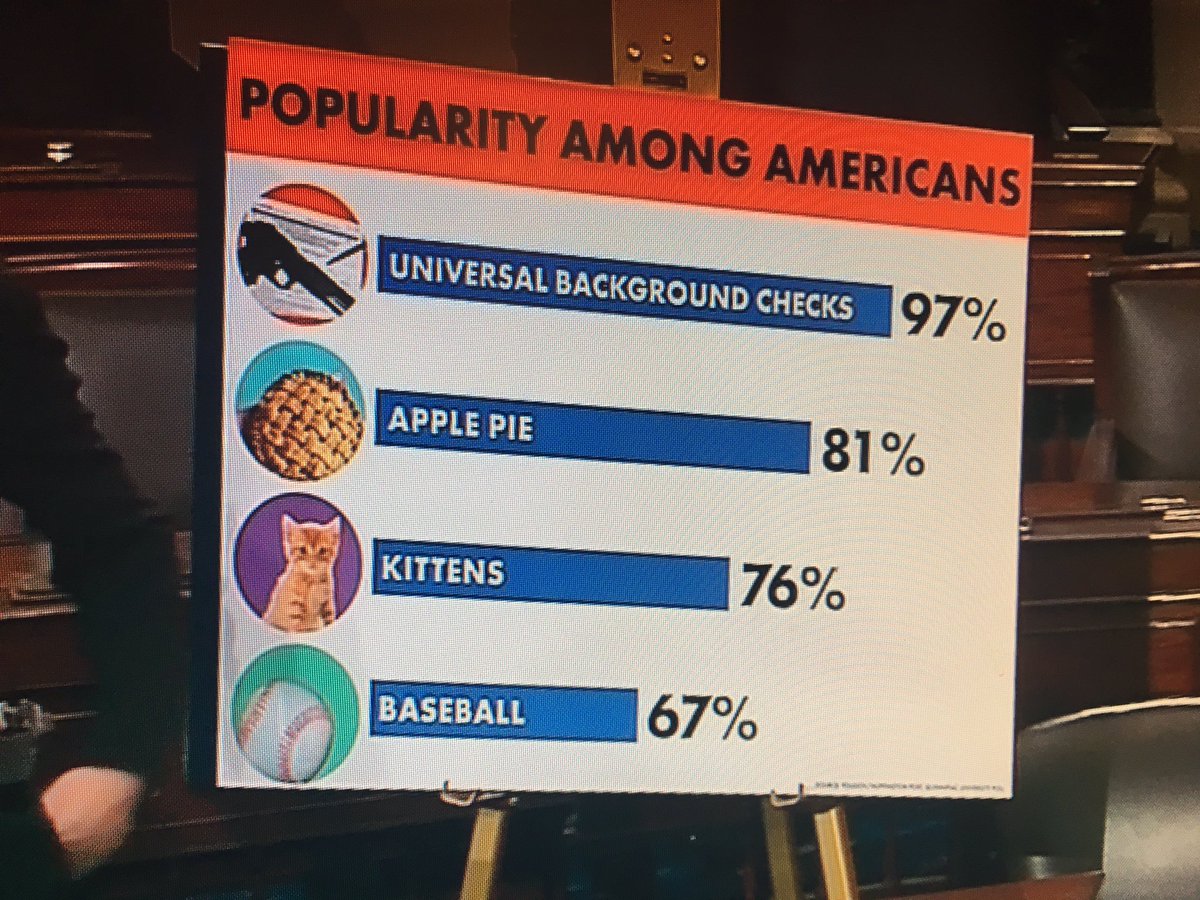 AJDMaru's tweet image. 97% of Americans support Universal Background Checks with gun purchases. We support the plan more than kittens and baseball. It’s the one thing we ALL agree on... 
Call your Senators now 🇺🇸
#UniversalBackgroundChecks 
#GunControlNow 
#EnoughIsEnough 
#NRAIsATerroristOrganization