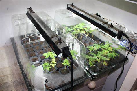 Nanodome's are perfect for starting seeds indoors, and maintaining a controlled environment