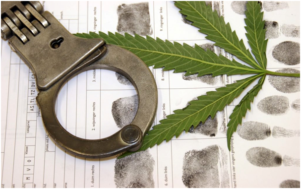 PeterjLawOffice's tweet photo. New Decision Offers Guidance on What Constitutes “Plant” Under Medical Marijuana-https://t.co/cUKAOBnaXU https://t.co/tyhJJiyftr